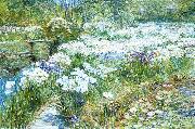 Childe Hassam The Water Garden china oil painting artist